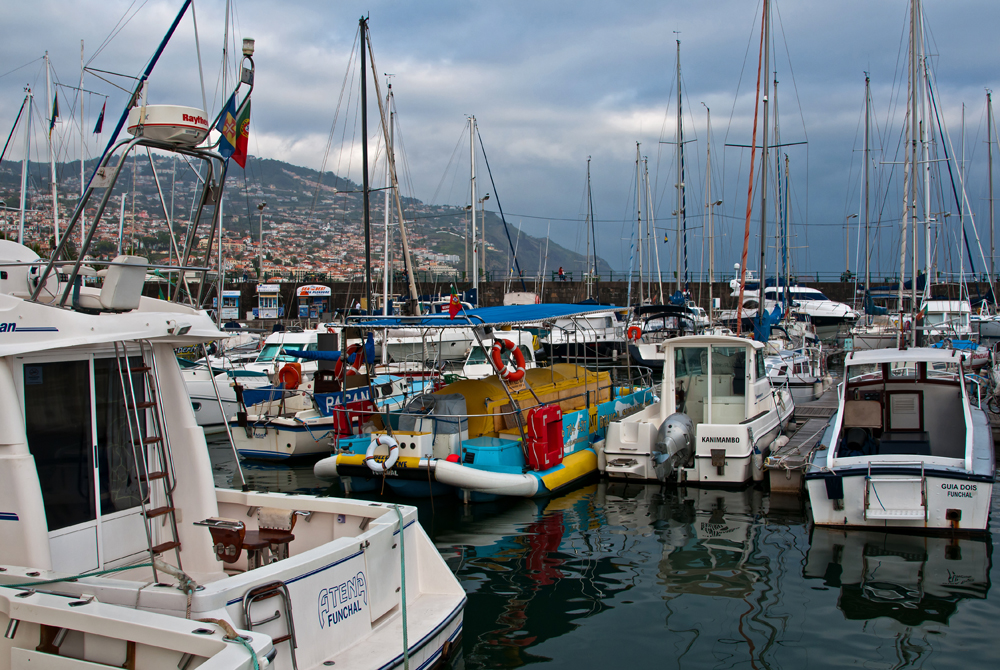 493_Madera_marina w Funchal.jpg